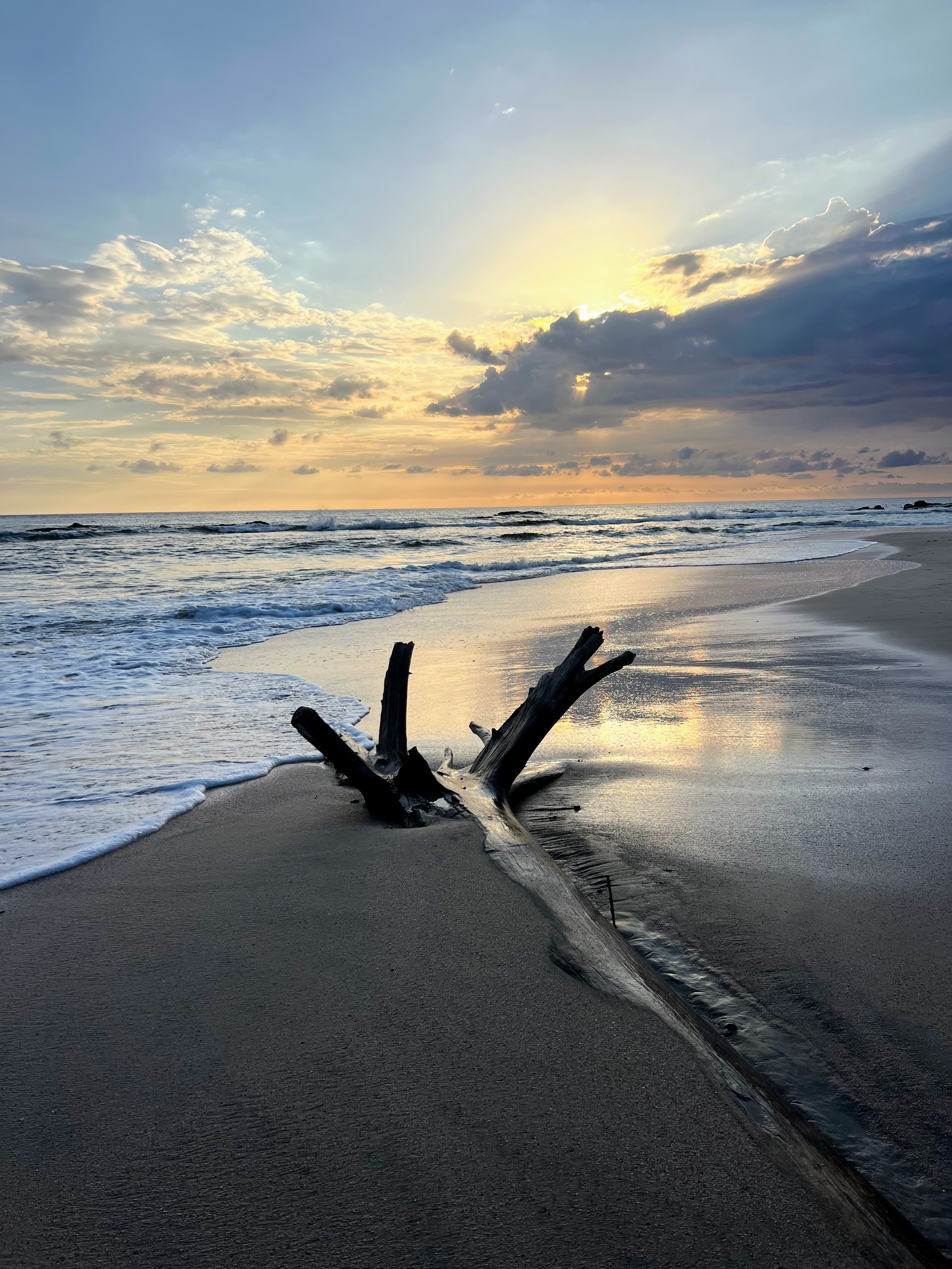 Driftwood stump silhouette on wet beach at dramatic sunset, golden clouds reflected in wet sand, Playa Pelada Costa Rica