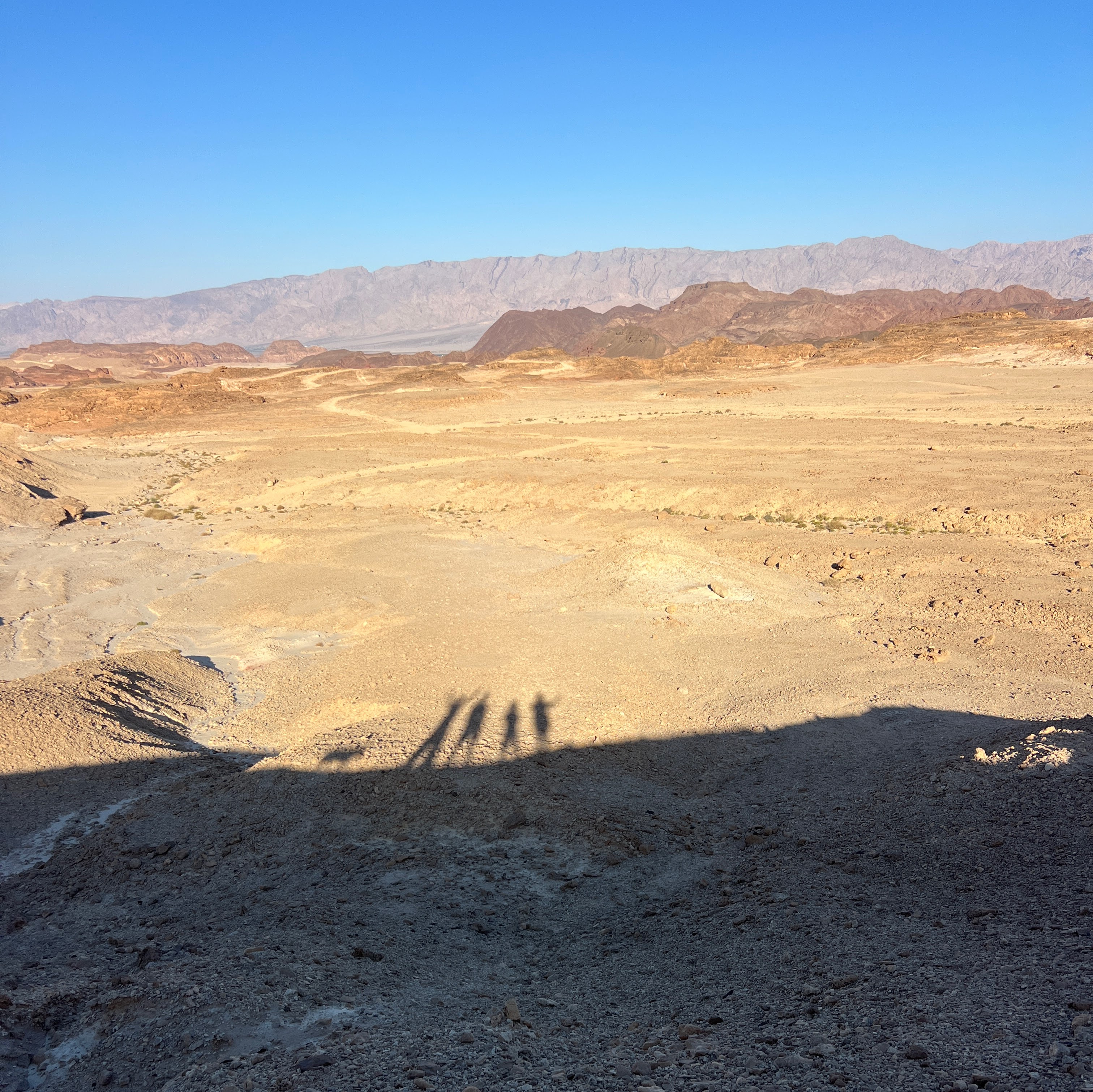 Shadows of four people and a dog cast across rocky desert ground with vast arid landscape and mountains beyond, Israel