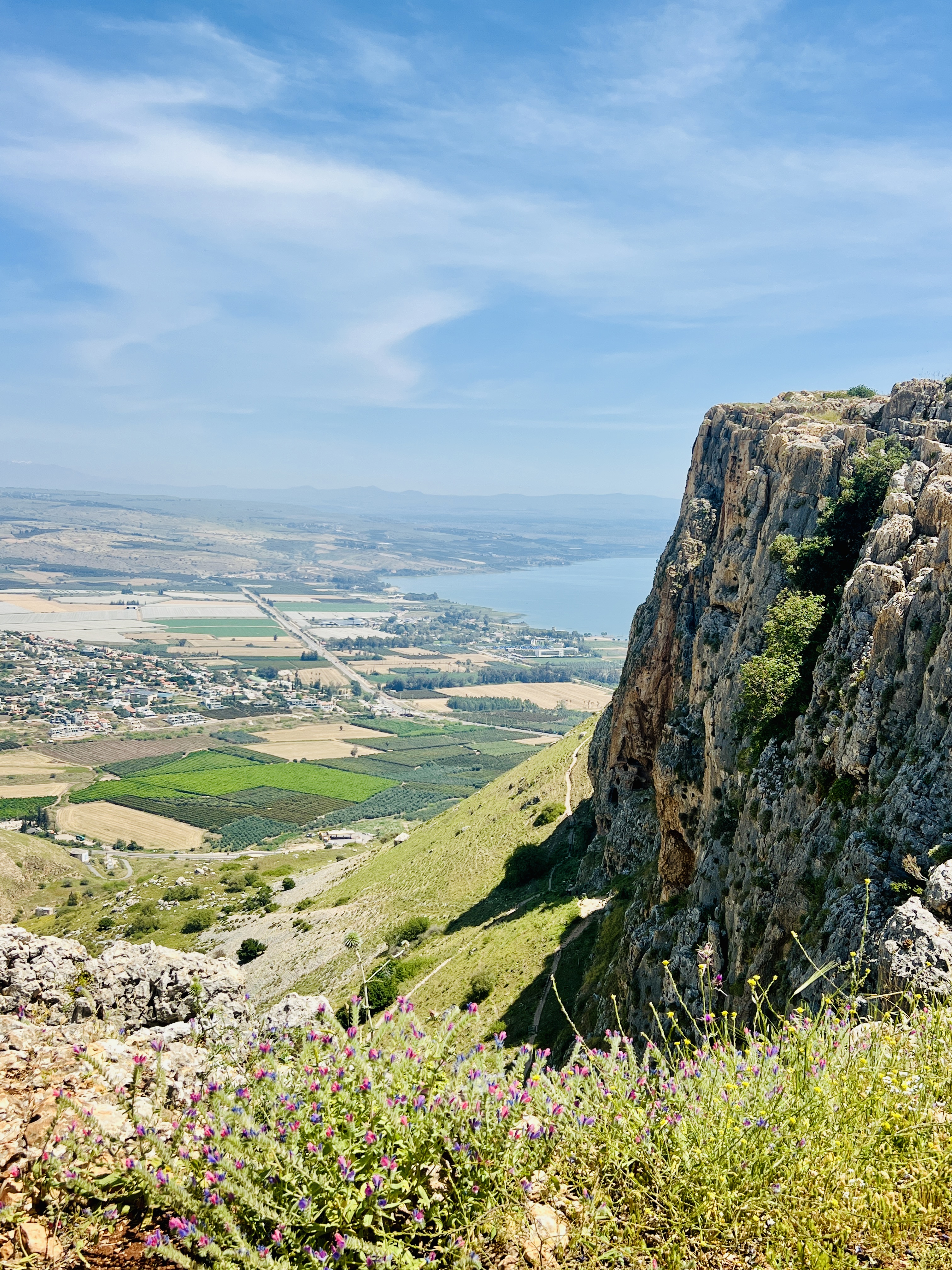 View from Mount Arbel looking down at Sea of Galilee, dramatic basalt cliff on right, purple wildflowers in foreground, green valley below