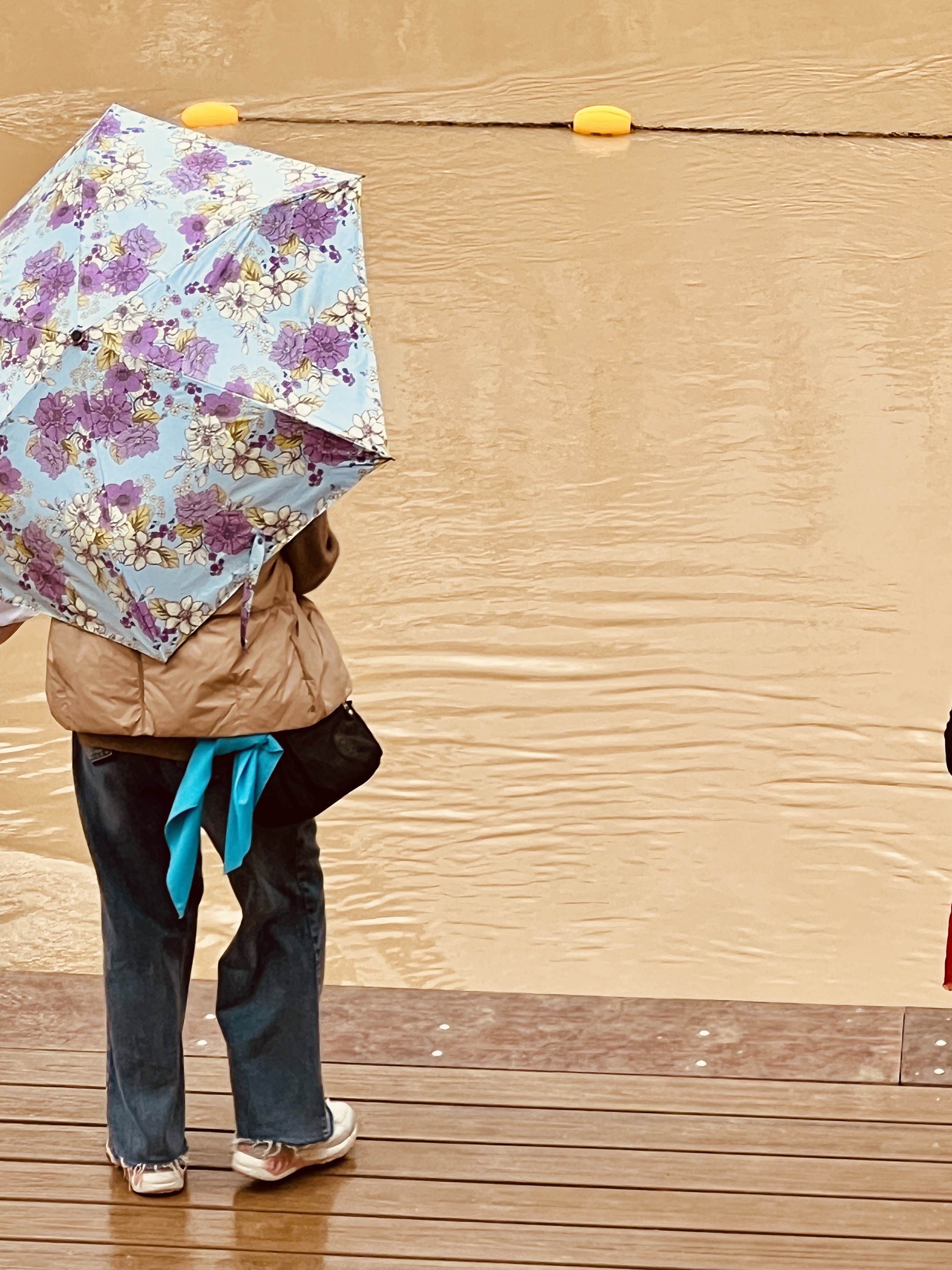 Woman with colorful floral umbrella standing by flooded street, viewed from behind, rainy day